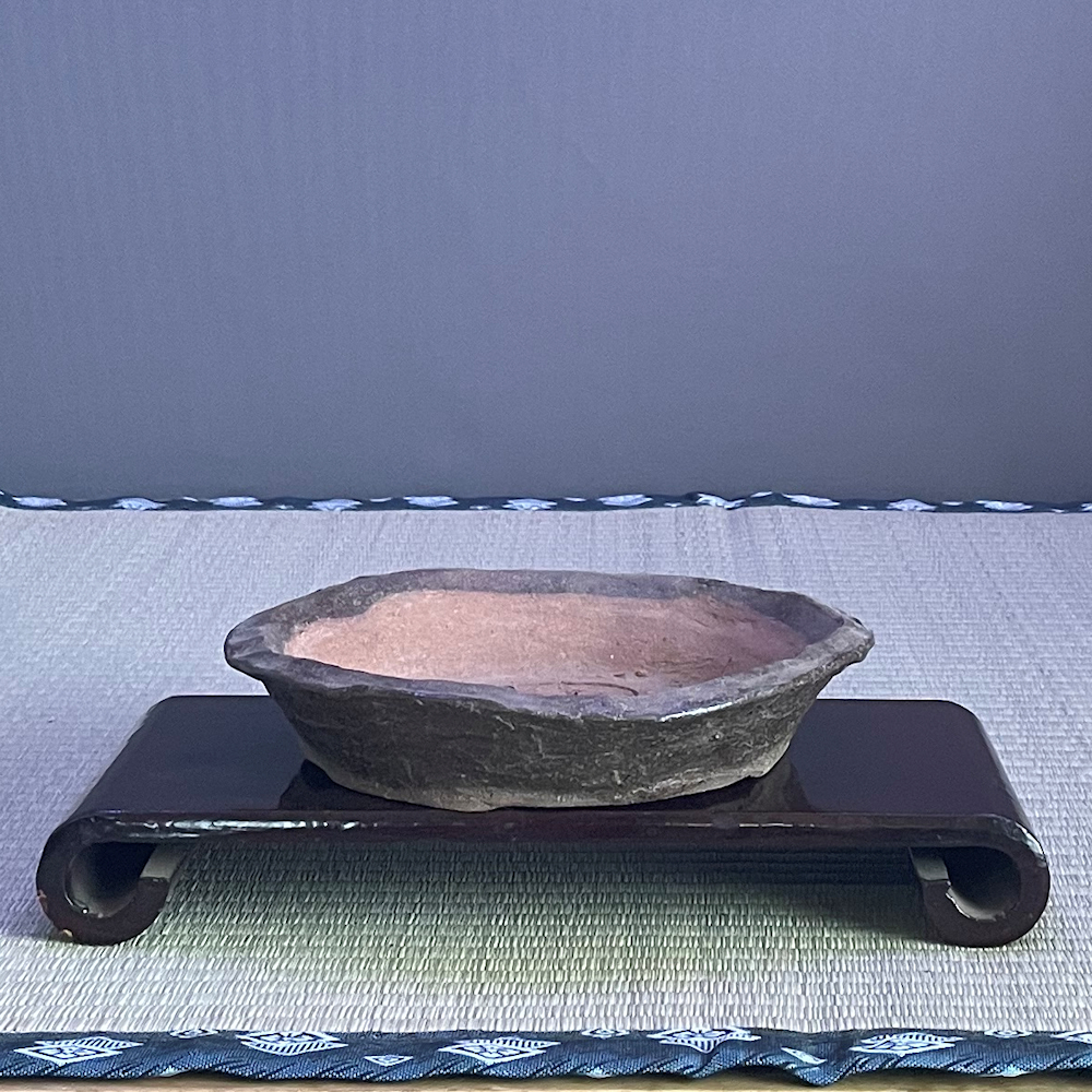 Tokoname Nanban Round Unglazed Bonsai Pot - 19 x 4cm - British Bonsai